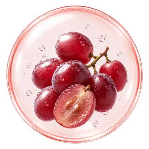 ingredient 4
